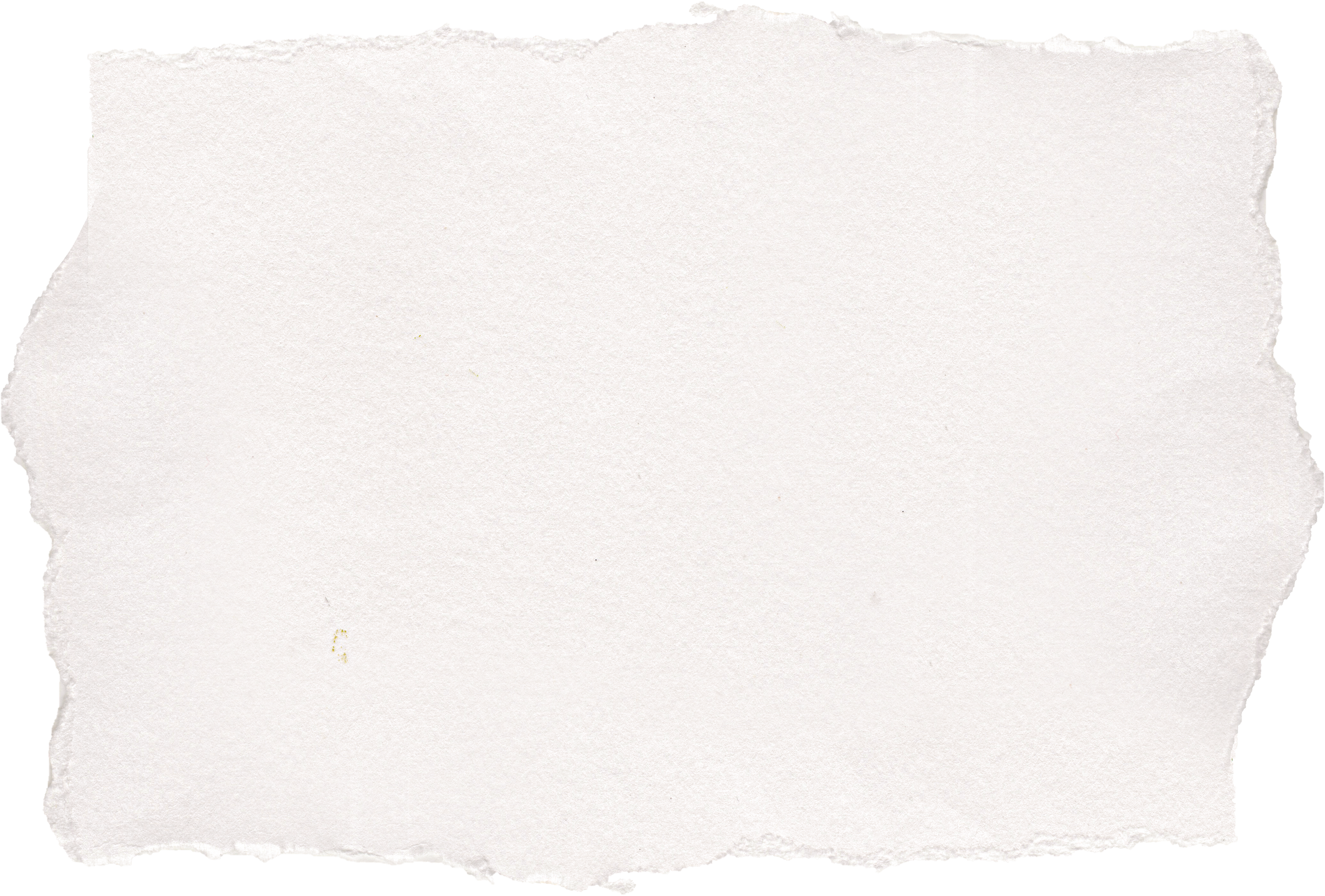 Ripped Paper Texture